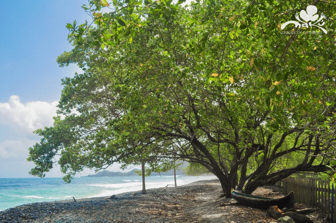 Turismo en America Latina - Capurganá y Sapzurro